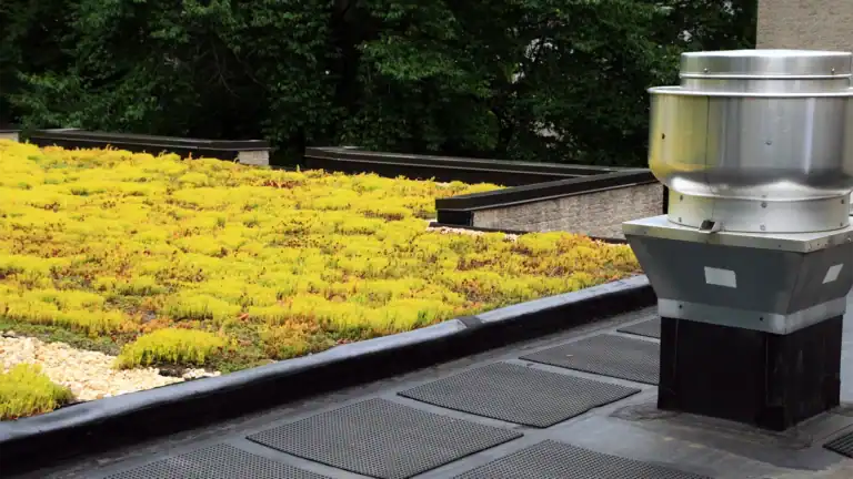 Green commercial roofing alternative