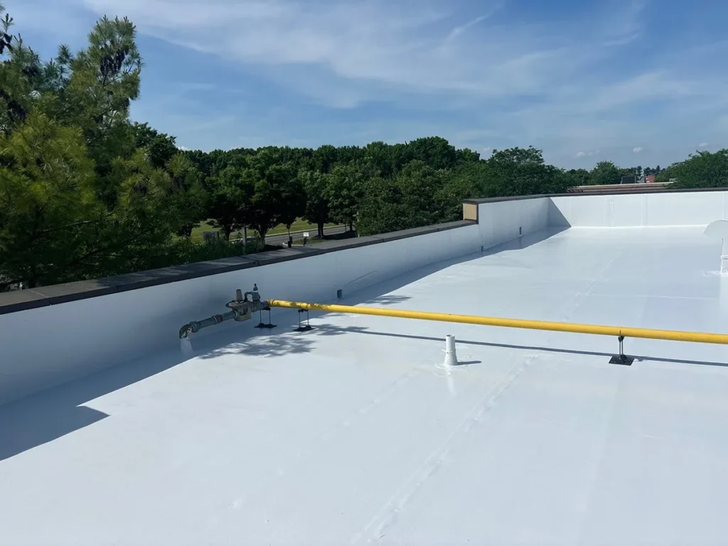 Rooftop image of Envir-O-Sil high-solids silicone top coat on strip mall retail complex.