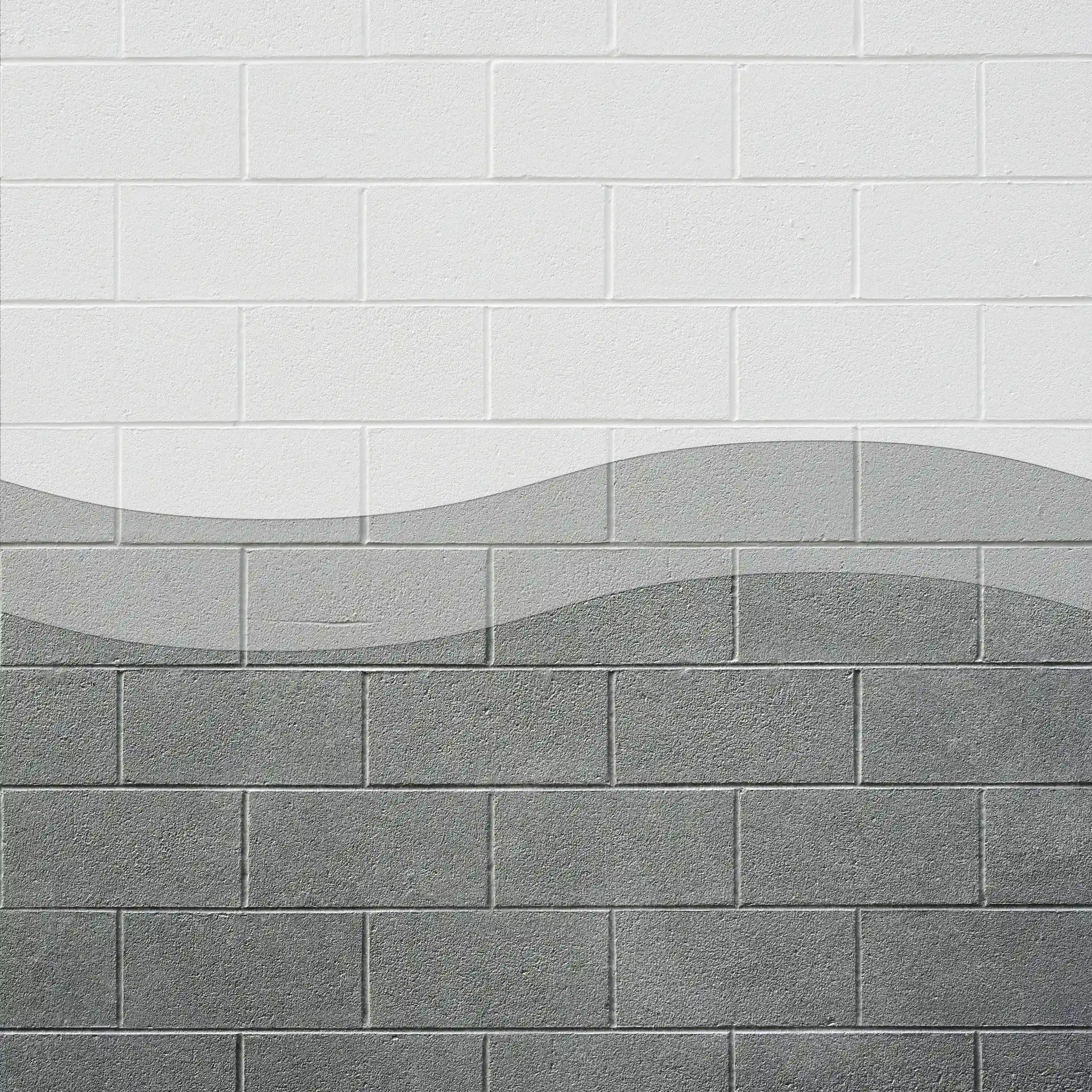 Wall-Coat system diagram