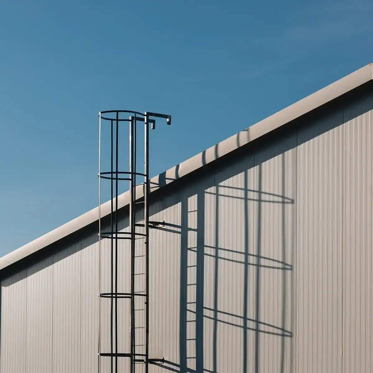 Roof access ladder